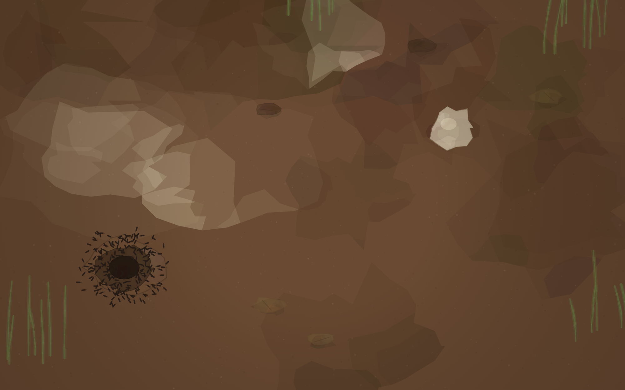 Ant Roads